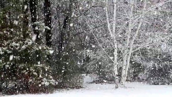 How to get Falling Snow Live Wallpaper 1.3 unlimited apk for bluestacks