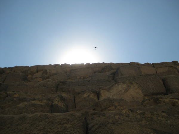 A hawk eclipses the sun as it sets over a pyramid.