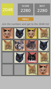 2048 Cats