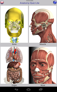 Anatomy Quiz Lite