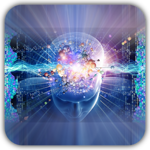 Memory Trainer 2013 1.4