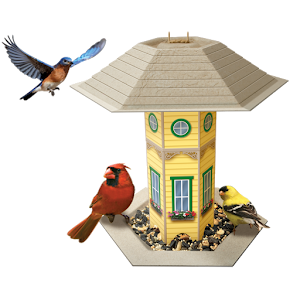 Bird Feeder Logger-N. America 1.0