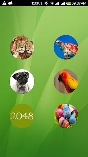 Animals 2048