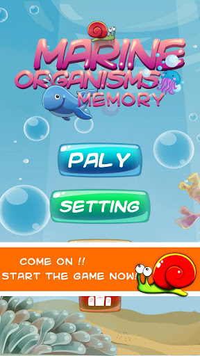 Bubble Fish Memory