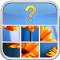 Guess The Pic icon