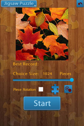 Leaf Jigsaw Puzzles 4 In 1