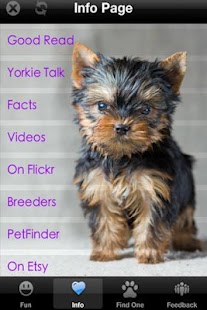 How to install Yorkie+ Free 1.0 mod apk for bluestacks