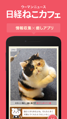 日経ねこカフェ（ウーマンニュース）のおすすめ画像1