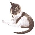 Pet Me Cat logo