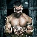 Randy Orton icon