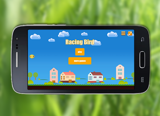 Racing Bird