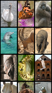 Animals  Puzzle Screenshots 1