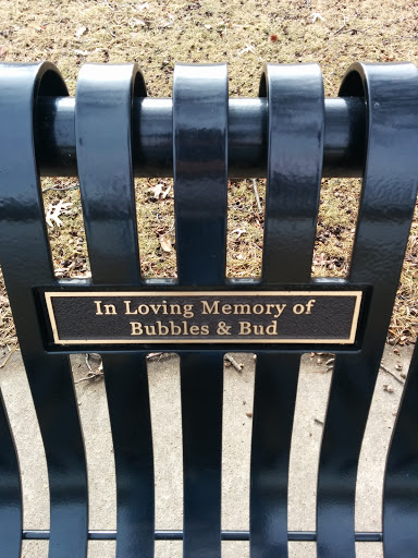 Memory of Bubbles and Bud