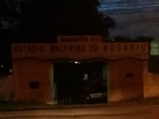 Estádio Walfrido Do Rosário