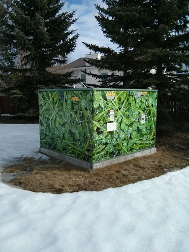 Green Leaf Box
