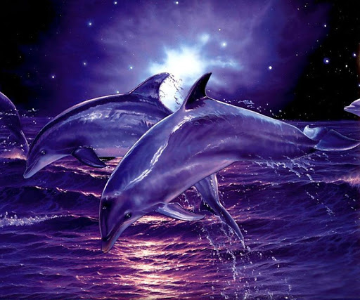 3D Dolphin