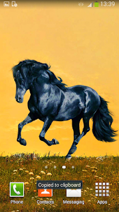 Horses Live Wallpaper Screenshots 12
