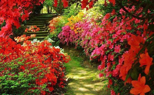 Lastest Gardens Tile Puzzle APK for PC