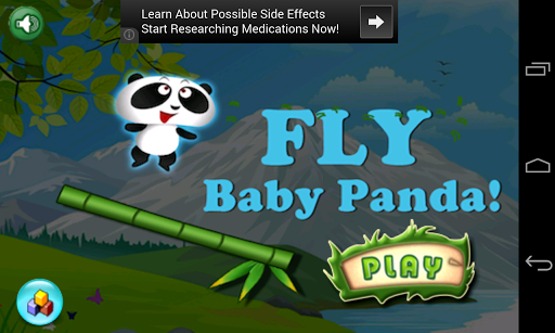 Baby Panda-Temple Dragon Saga