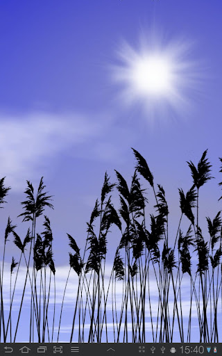 Reeds Live Wallpaper v1.00