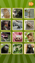 Fifteen Puzzle by SPRINGMARU poster 1