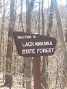 Lackawanna State Forest