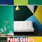 Paint Color