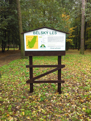 Belsky Les