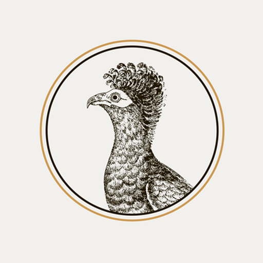 Birdie бронная. Birdie стрижки. Лого Birdie. Birding logo. Book Bird logo.