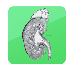 GFR Calculator.apk 2.0