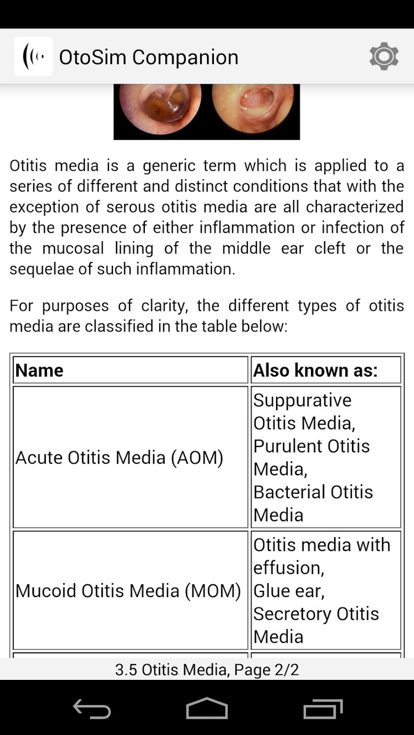 OtoSim Companion Screen 3