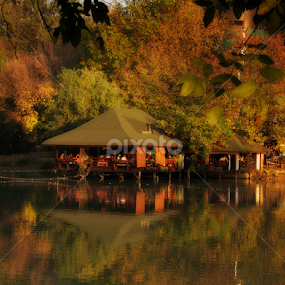 by Tatjana Koljensic - City,  Street & Park Amusement Parks
