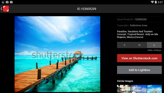 Shutterstock - screenshot thumbnail