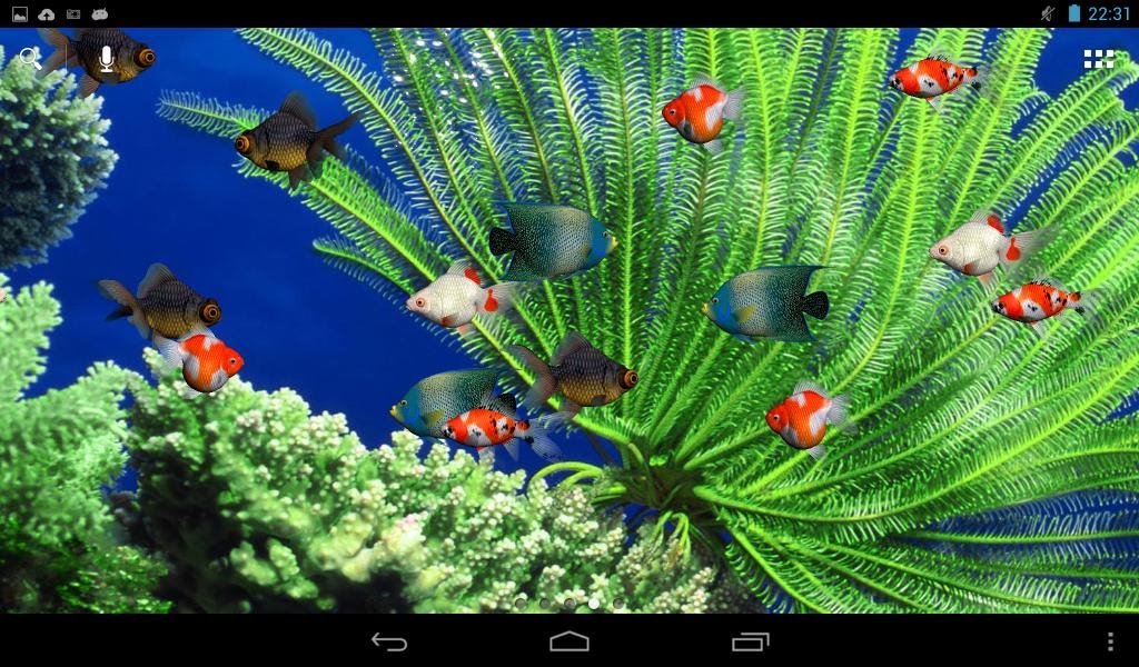 Cool Live Wallpapers  Free Download Aquarium wallpaper  