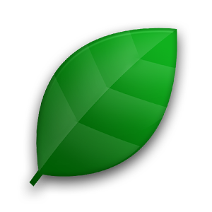 Efficiency (free) 1.6