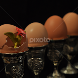 Surprise by Adriana Bleau -  