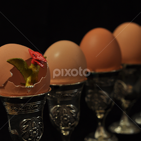 Surprise by Adriana Bleau - Uncategorized All Uncategorized