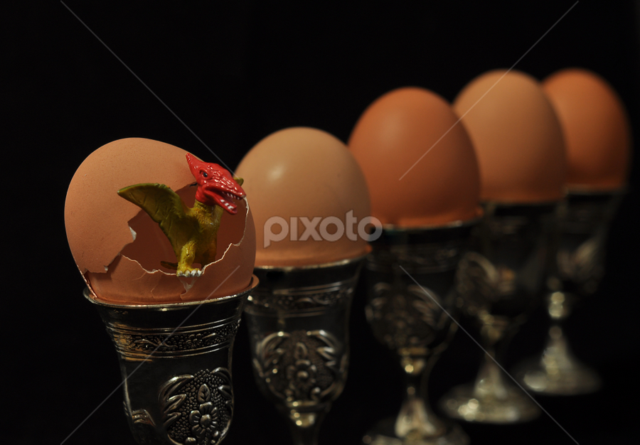 Surprise by Adriana Bleau - Uncategorized All Uncategorized