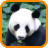 Zoo Animals Story mobile app icon