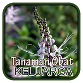 Kumpulan Tanaman Obat Keluarga