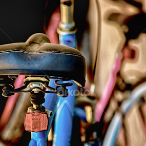 Time to Dust Off the Bike by Candy (Ellison) Downs - Transportation Bicycles