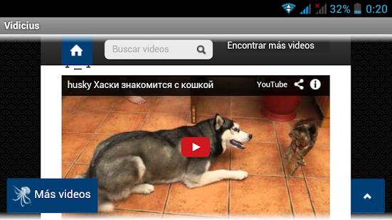 How to download Videos online en Vidicius 1.0 apk for android