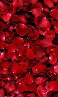 Petals live wallpaper Screenshots 9