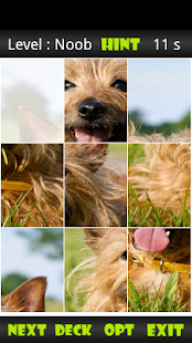 Free Download Yorkshire Terrier Slide Puzzle APK for PC