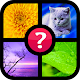 Guess the word ~ 4 pics 1 word APK