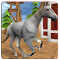 astuce Horse Simulator 3D jeux