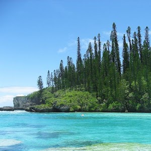 Isle of Pines.apk 1.3