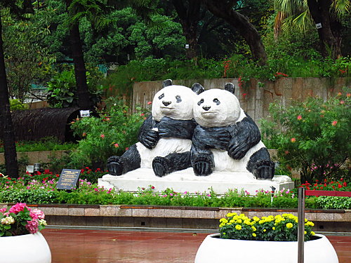 兩隻樣衰熊貓