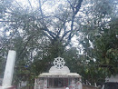 Batuhena Temple Bodhi