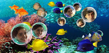 My Photo Bubble Aqurium LWP APK